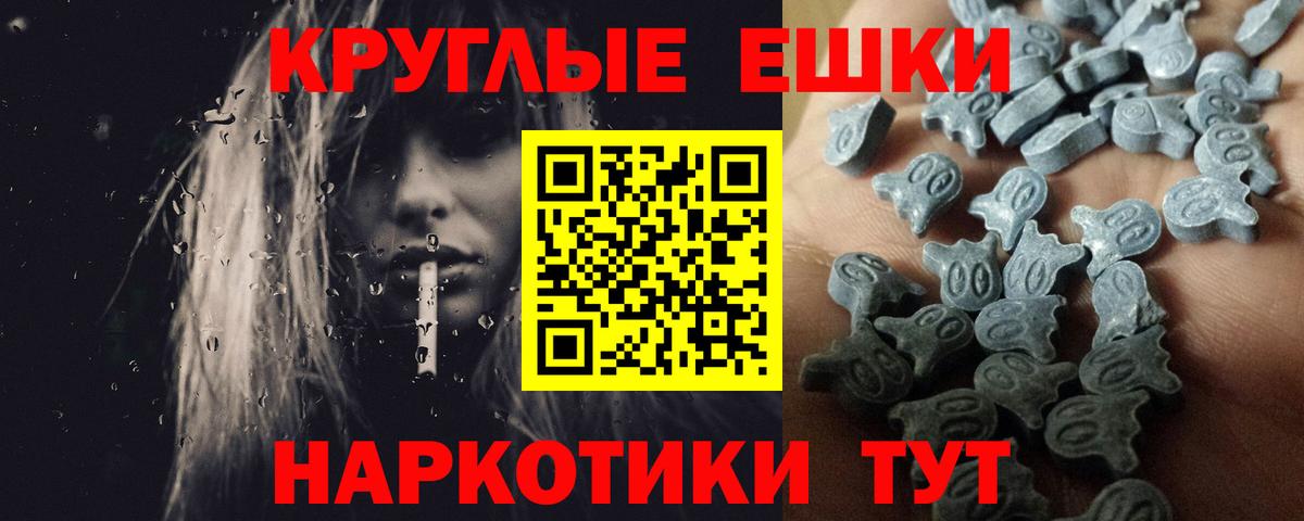 Экстази Philipp Plein Грозный