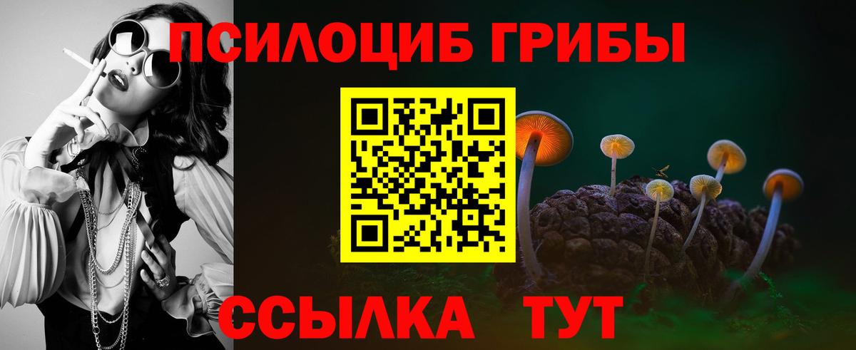 где купить   Вход с VPN  Грозный  Псилоцибиновые грибы Psilocybe 